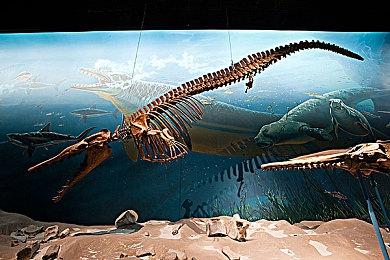 官方确认《漫威暗夜之子》中绿巨人将为可玩角色