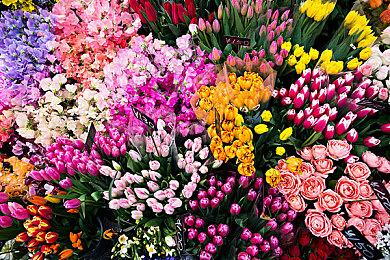 夏日游戏节汇总：《生化危机：安魂曲》、《嗜血代码2》等